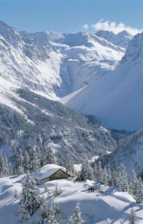 Ferienwohnung Finestra Sull'Adamello Tonalepass Exterior foto